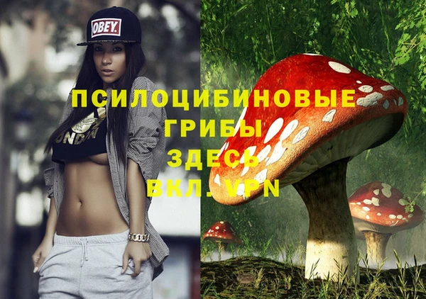 дживик Протвино