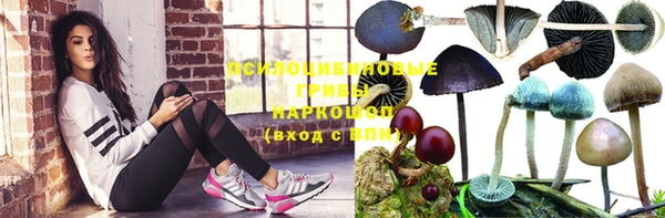 MESCALINE Баксан